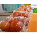 fruit and vegetable vacuum packing machine